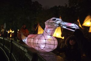 bradford lantern parade 2015 19 sm.jpg